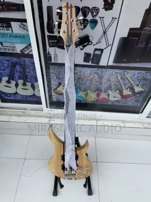 Magna Five Strings Professional Active Bass Guitar