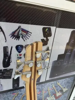 Magna Five Strings Professional Active Bass Guitar