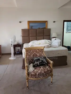 Furniture and Upholstery Cleaners