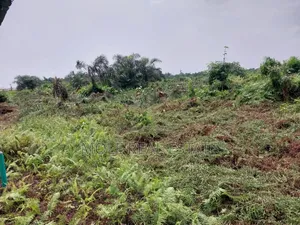 60ft by 120ft Full Plot Ijegun Festac Link