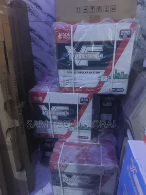 Viforce Tubular Batteries