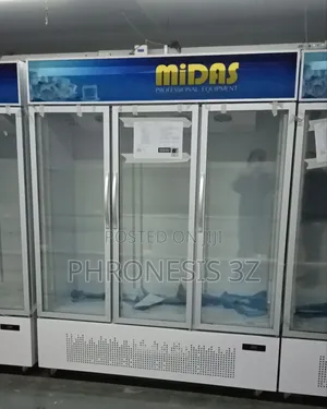 Industrial 3 Doors Upright Showcase Freezer