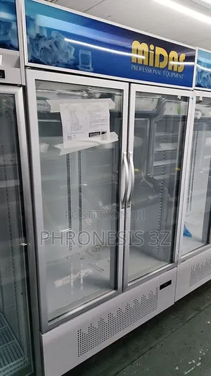 Industrial Double Door Upright Showcase Freezer
