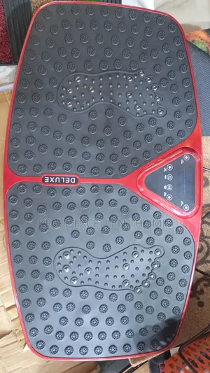 Vibration Excersie Machine Big