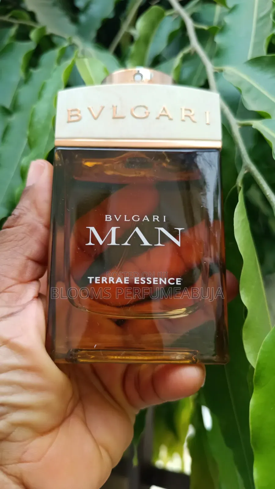 Bvlgari Terrae Essence