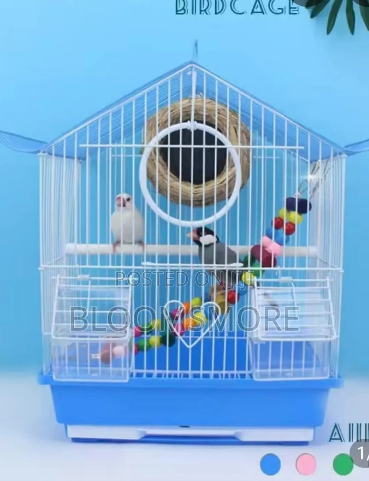 Bird Cage in Lagos