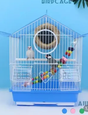 Bird Cage in Lagos