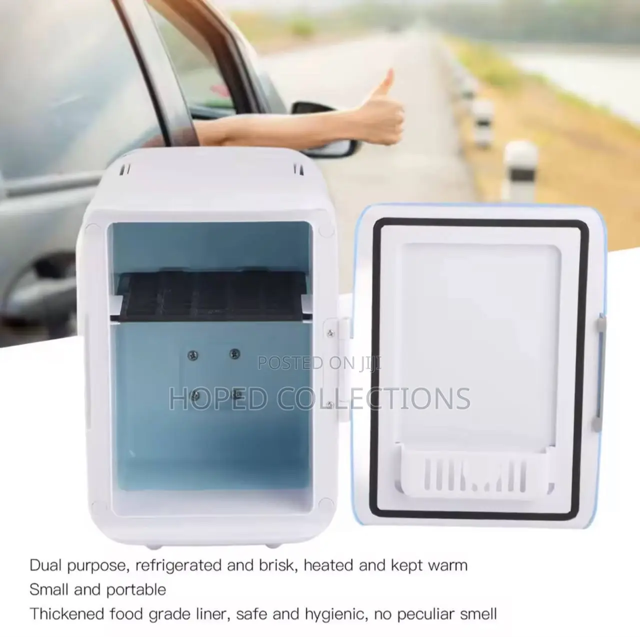 Mini Car Refrigerator