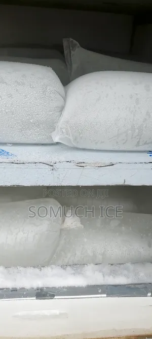 Ice Blocks for Sell