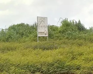 Plots Of Land At Utesi Community By NPDC Estate