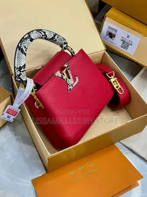 Luxury Louis Vuitton Female Hand Bags