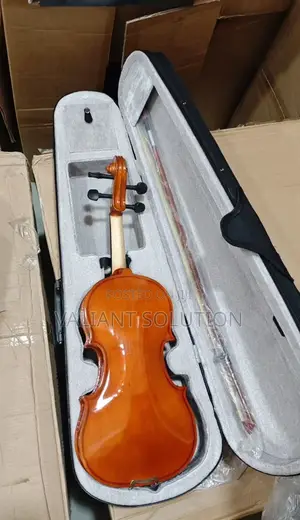 4/4 Violin
