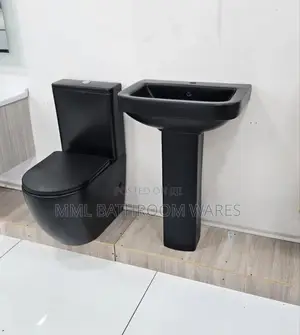 Matte Black Toilet Seats With Pedestal Basin
