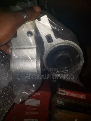 Ford Explorer Lower Arm Bushin