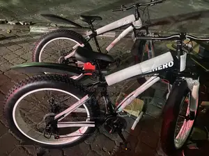 Sports Bicycle