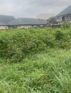 100 by 100 for Sale Off New Okpe Road, Jeddo, Warri Delta St