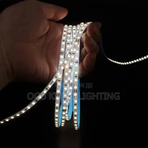 Led Strip Tape Light 10mtrs Lighting