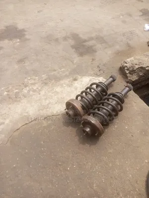 Ford Back Shock