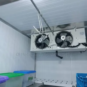 Mini Freezer Cold Room