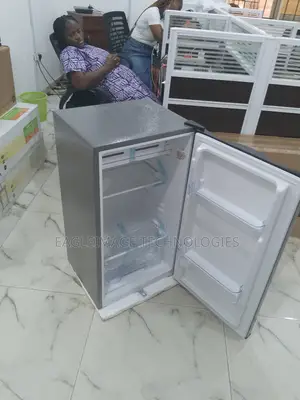 Energy Efficient Skyrun 90L Refrigerator BCD-90g