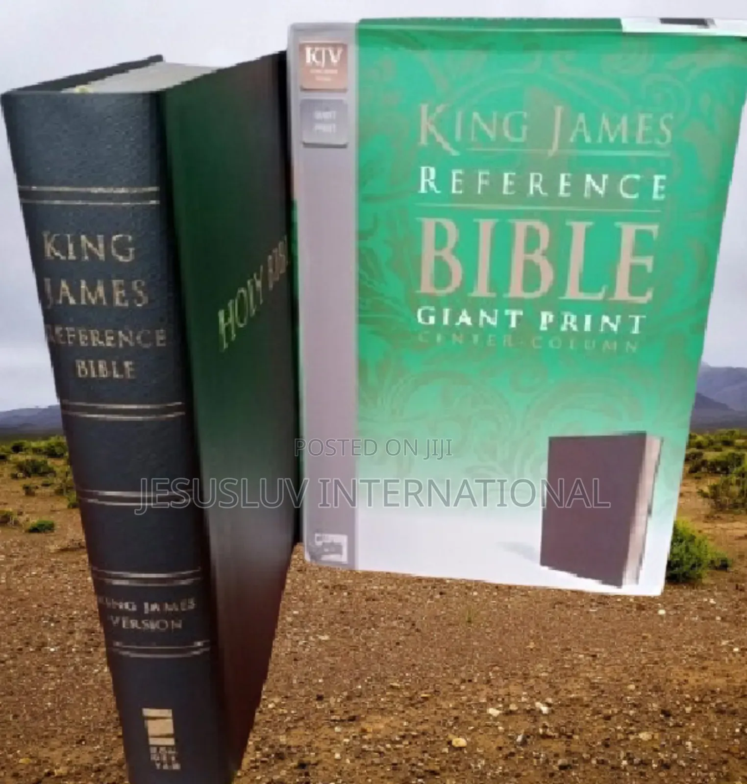 Holy Bible KJV Large Giant Print Reference Bible Leather