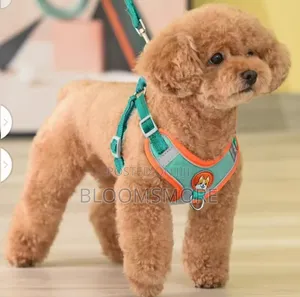 Dog Harness in Lagos