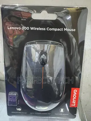 LENOVO 300 Wireless Compact Mouse
