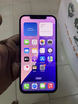 Apple iPhone 12 Pro Max 256 GB Blue