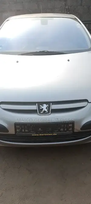Peugeot 307 2006 Silver