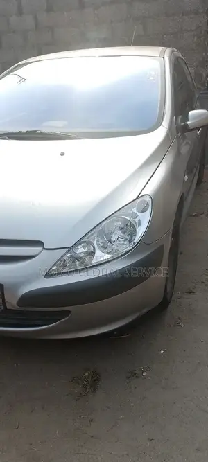 Peugeot 307 2006 Silver