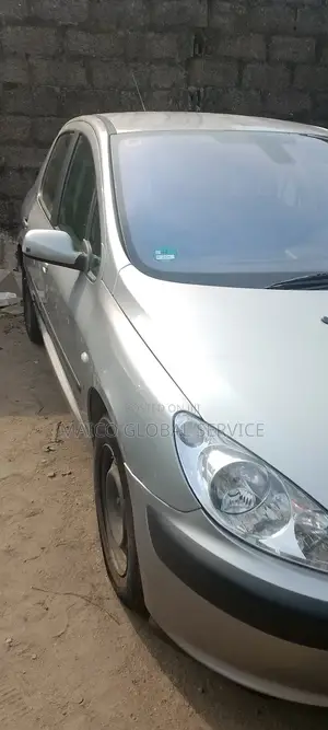 Peugeot 307 2006 Silver