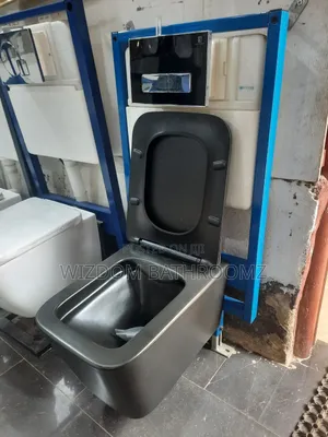Black Concealed Wc
