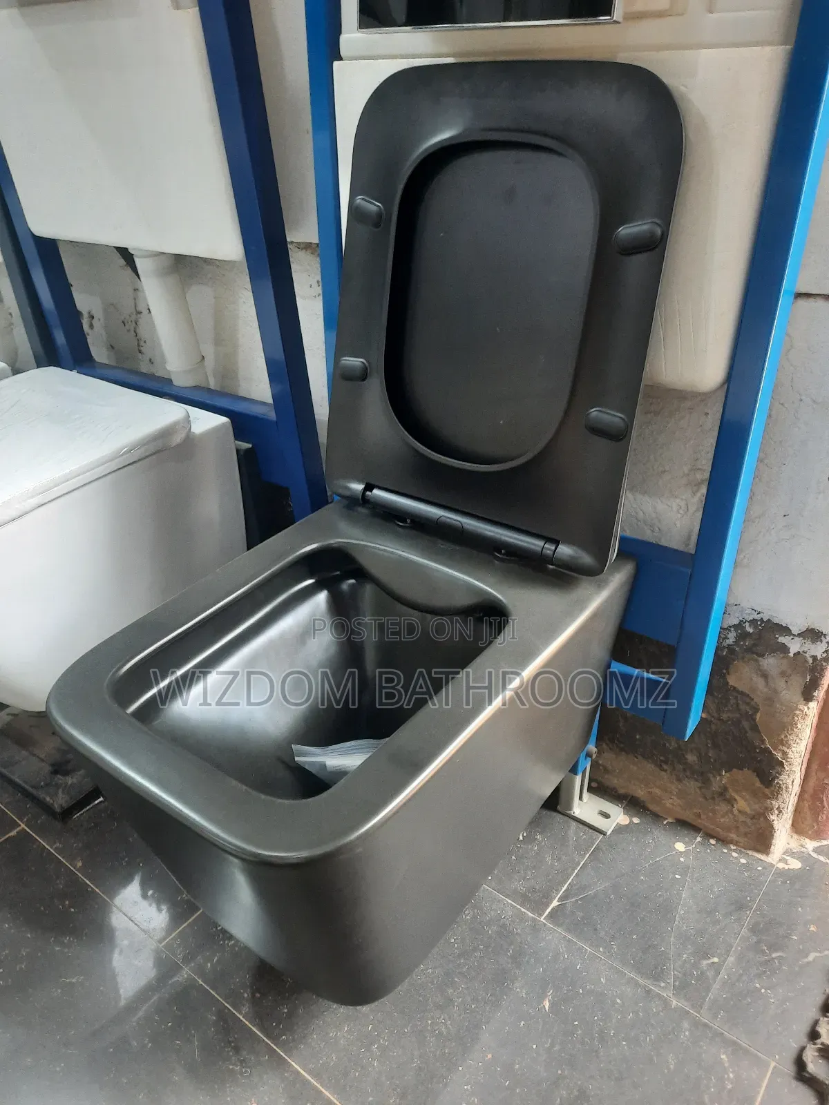 Black Concealed Wc