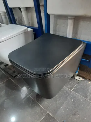 Black Concealed Wc