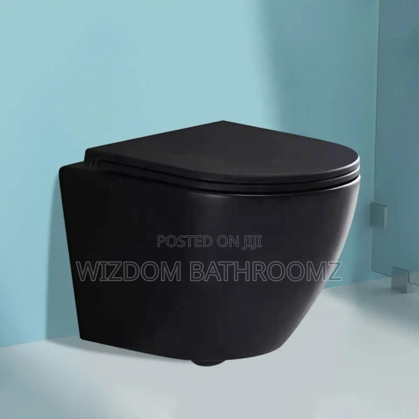 Black Concealed Wc