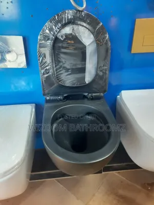 Black Concealed Wc