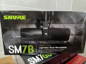 Shure Dynamic Sm7b Studio Mic