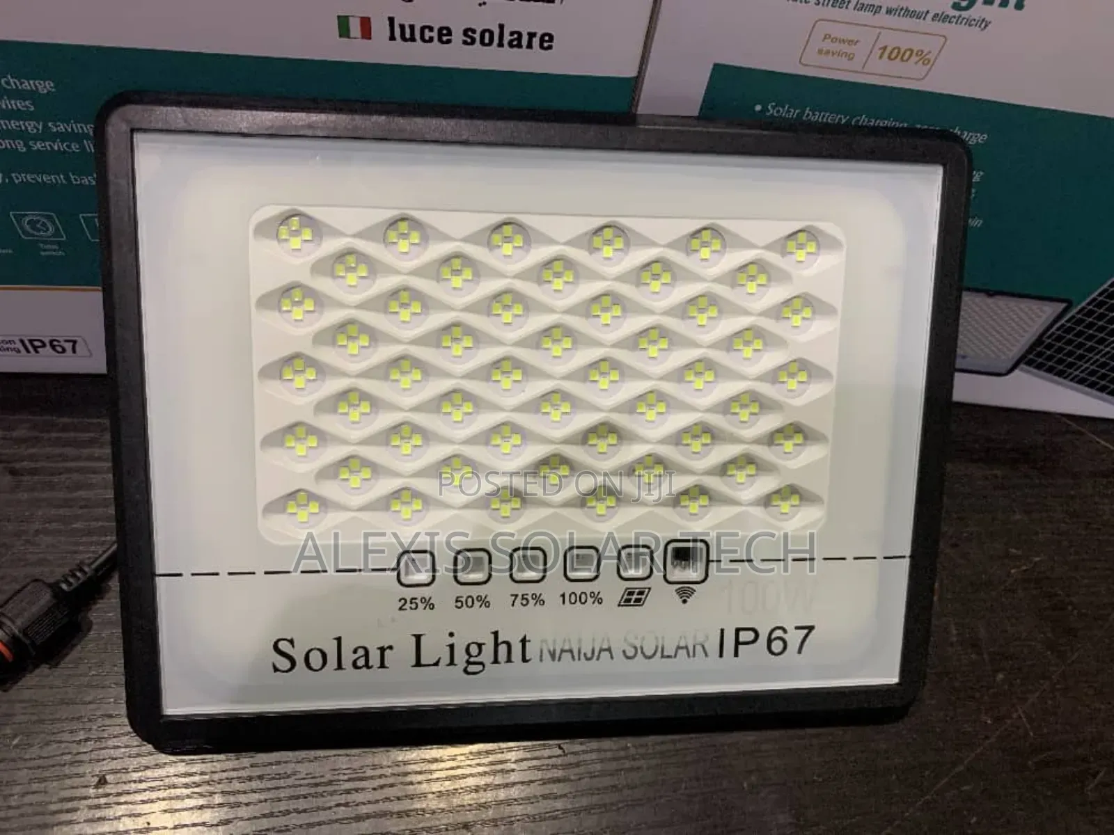 100w Flood Lamp
