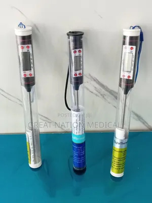 Digital Thermometer Stainless Steel