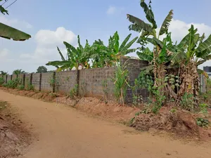 2 Plots at Ajibawo After Atan
