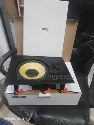 High Quality Tundra on-Wall Speaker