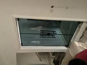 Frameless Swing Door