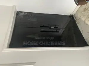 Frameless Swing Door