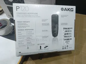 Akg P120 Studio Condenser Microphone