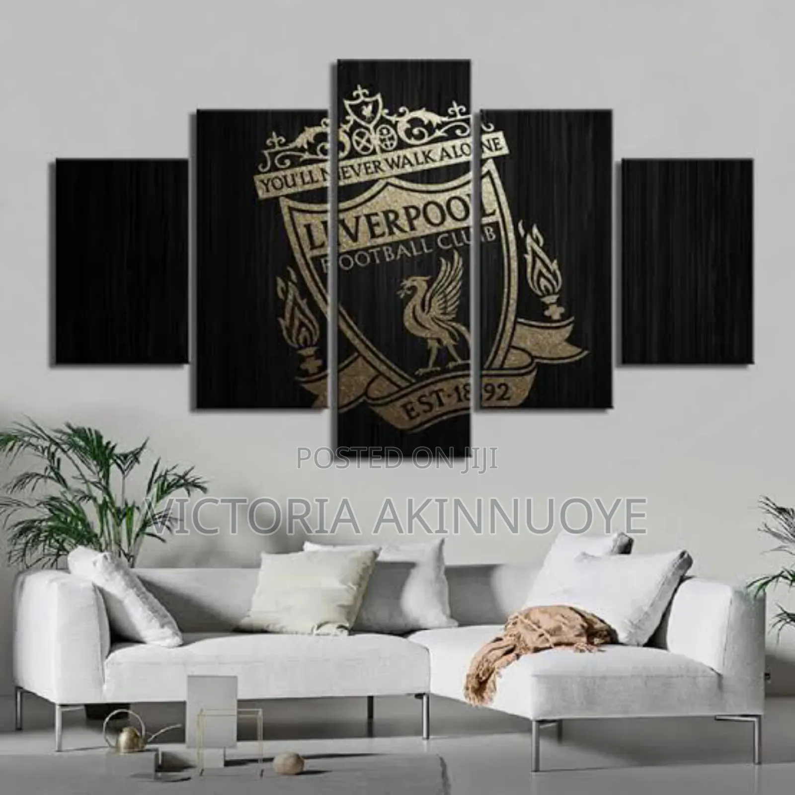 Barcelona Design Decorative Wall Frame
