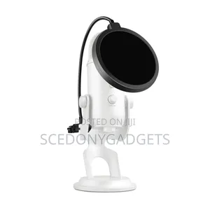 Professional Pop Shield/Filter for Recording