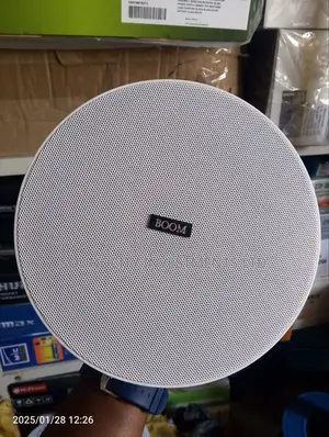 Boom 100watts Frameless Ceiling Speaker.