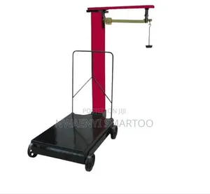 Heavy Duty Motorking Scale 300kg