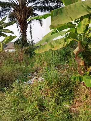 7 Plots of Land for Sale