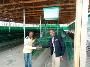 Quality Battery Cage